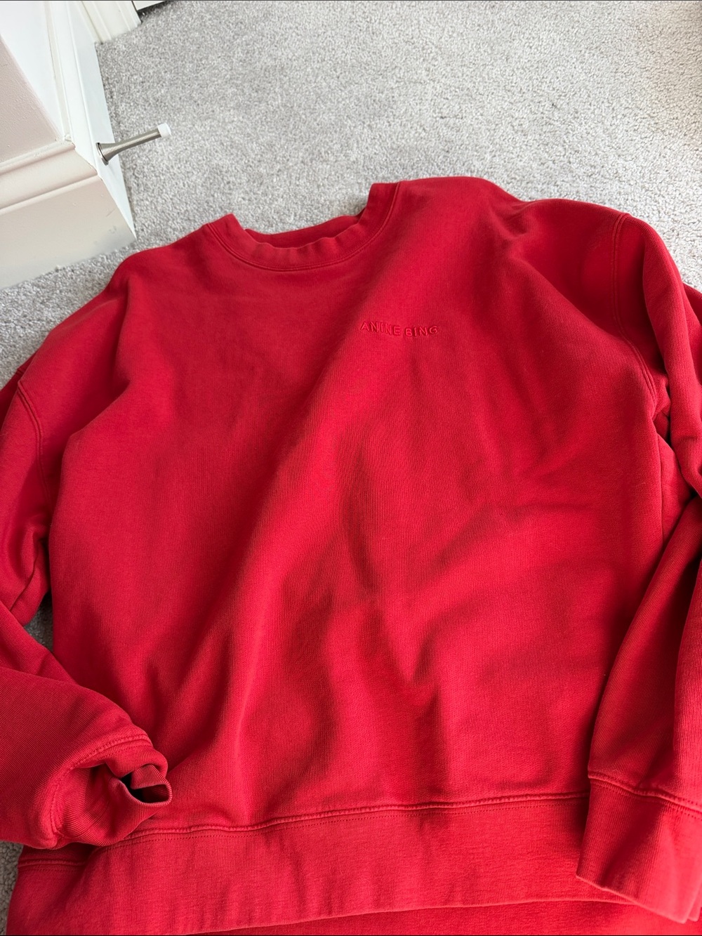 Anine bing sweatshirt